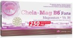 Chela-Mag B6 Forte
